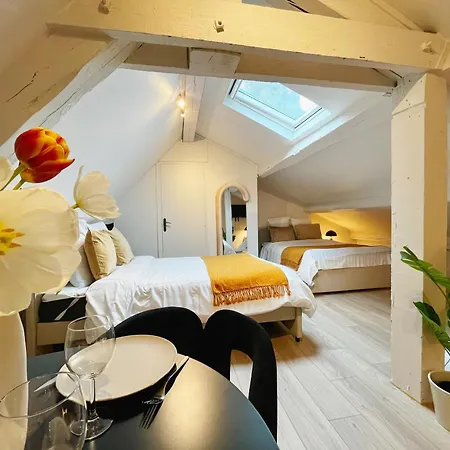 Bliss Apartament Lyon