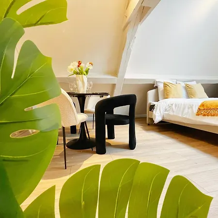 Apartment Bliss Lyon